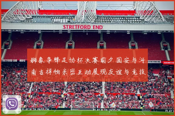 狮象争锋足协杯决赛前夕国安与河南吉祥物亲密互动展现友谊与竞技精神